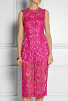 Thumbnail for your product : House of Holland Embroidered-lace midi dress