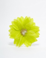 Thumbnail for your product : Johnny Loves Rosie Seeded Flower Hair Clip
