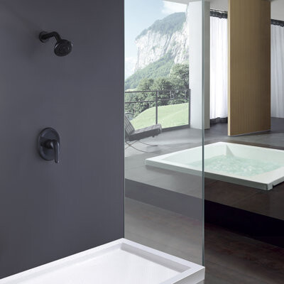 Selected Tub and Shower Faucet with Rough-in Valve