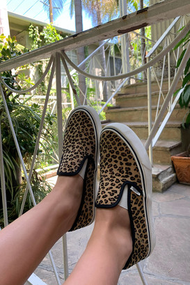 leopard vans kohls