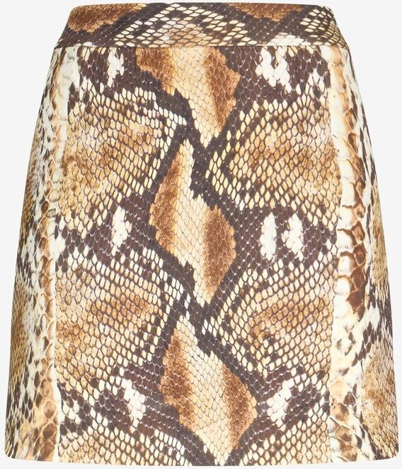 Roberto Cavalli Mini Skirt