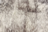 Thumbnail for your product : Ecarpetgallery Luxurious Grey Tip Single Sheepskin