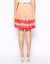 Thumbnail for your product : Ted Baker Stripe Skirt in Pleated Lace