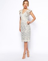 Thumbnail for your product : ASOS TALL Premium Pencil Dress With Seashell Scallop Lace