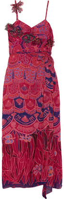 Anna Sui Zandra Printed Crinkled Silk-Chiffon Maxi Dress
