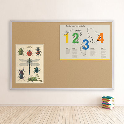 MooreCo Valu-Tak Wall Mounted Bulletin Board