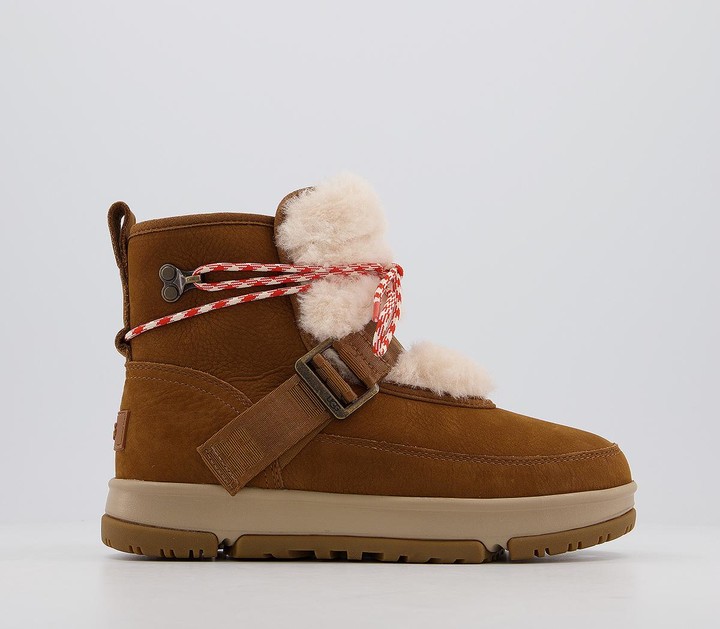 Chestnut Ugg Boots | Shop the world's largest collection of fashion |  ShopStyle UK