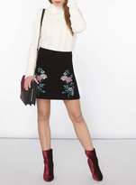 Thumbnail for your product : Dorothy Perkins Petite Embroidered Skirt