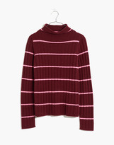Thumbnail for your product : Madewell Striped Evercrest Turtleneck Sweater in Coziest Yarn