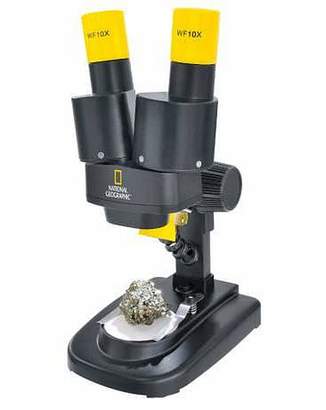 Lepel 20x Stereo Microscope