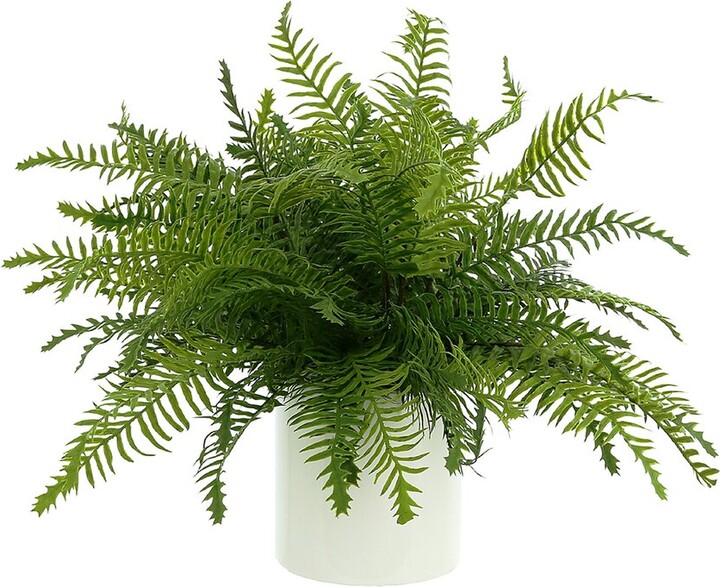 Creative Displays Uv Protected Outdoor Fern Plant ShopStyle Decor