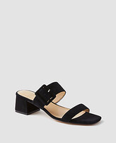 Thumbnail for your product : Ann Taylor Suede Two Strap Buckle Sandals