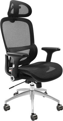 https://img.shopstyle-cdn.com/sim/96/6e/966ed041fcbecb42502991e24d2ea642_xlarge/jerlyn-ergonomic-office-chair-with-headrest.jpg