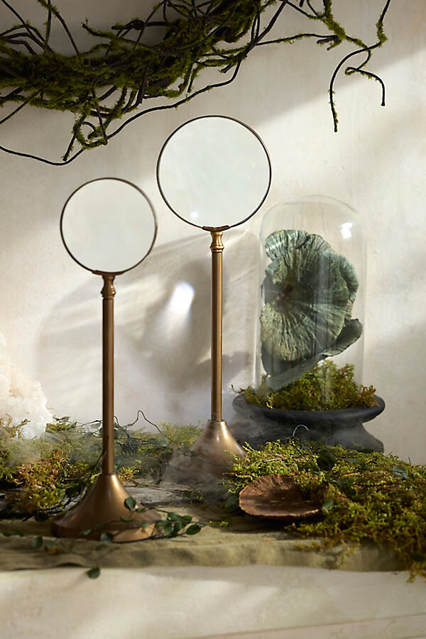 Magnifying Glass on Stand