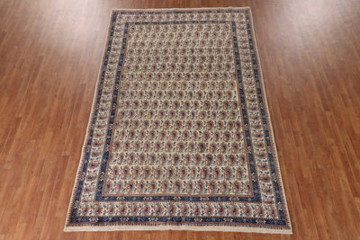 Isabelline All-Over Paisley Traditional Area Rug 7x11