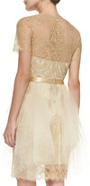 Thumbnail for your product : Notte by Marchesa 3135 Notte by Marchesa Short-Sleeve Lace & Tulle Cocktail Dress