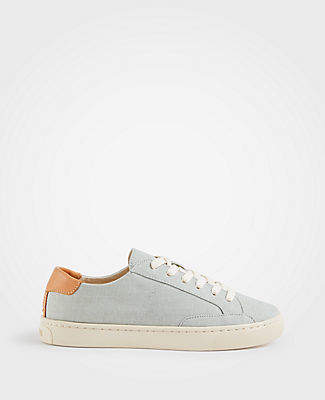 Ann Taylor Soludos Chambray Ibiza Classic Sneakers