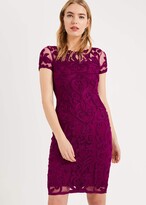 Thumbnail for your product : Phase Eight Sheena Tapework Lace Dress