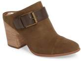 Thumbnail for your product : Linea Paolo Josie Mule