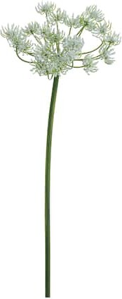 Allstate 24 Pack: Queen Anne's Lace Spray By in White