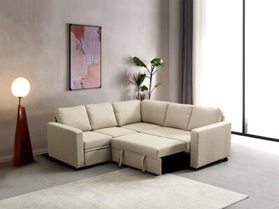 Latitude Run Sectional Sofa Bed