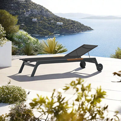 Hokku Designs Siddie Outdoor Aluminium Alloy Chaise Lounge