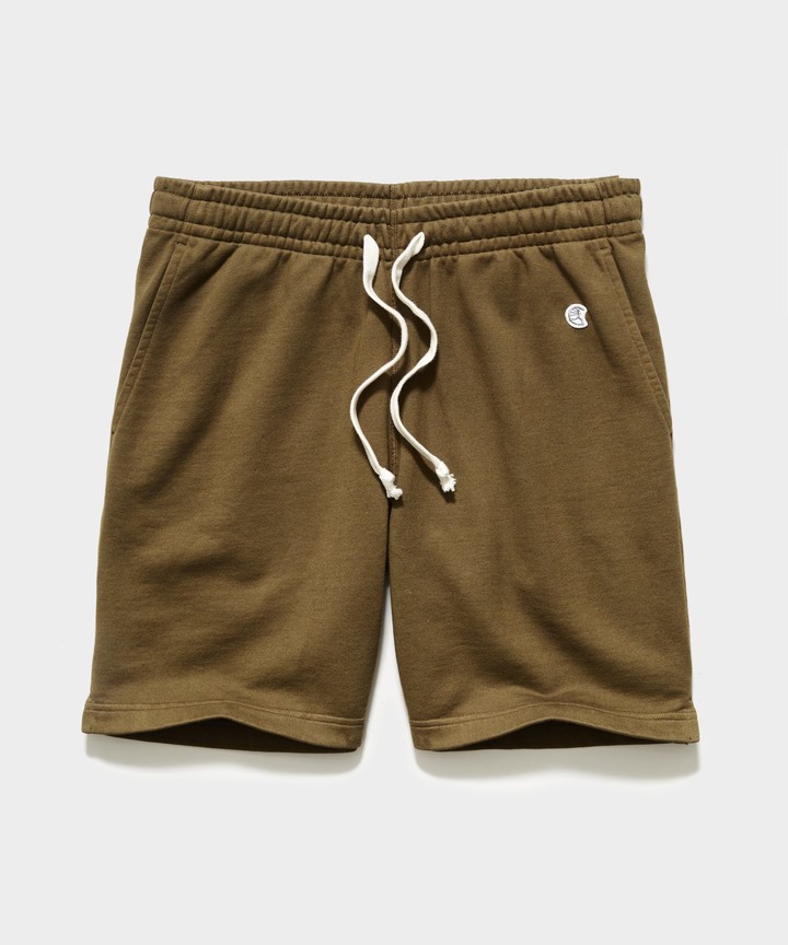 todd snyder champion shorts