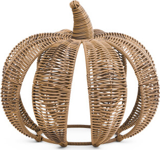 TJMAXX Outdoor Safe Wicker Pumpkin
