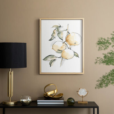 Rosalind Wheeler Watercolor Fruit Contour II Framed Print - Solid Wood