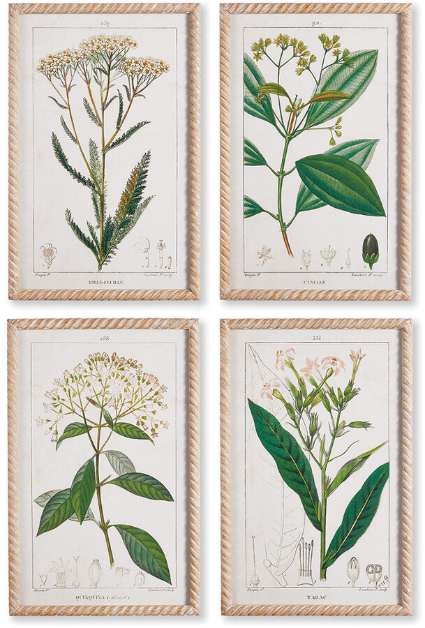 Napa Home & Garden Set Of 4 Meadow Botanical Study Prints - ShopStyle ...