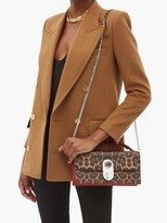 Thumbnail for your product : Christian Louboutin Elisa Leopard-print Leather Cross-body Bag - Leopard