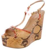 Thumbnail for your product : Sergio Rossi Snakeskin Platform Sandals
