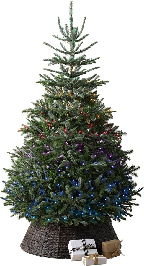 Balsam Hill Bh Nordmann Fir Twinkly Green Tree