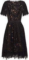 Thumbnail for your product : Oscar de la Renta Belted Guipure Lace And Mesh Dress