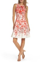 Thumbnail for your product : Maggy London Women's Print Stretch Cotton Dress