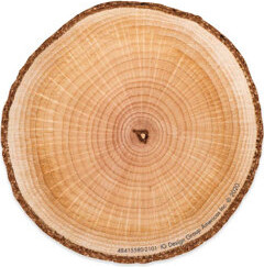 Eureka Classroom A Close-Knit Class Wood Penny Paper Cut-Outs