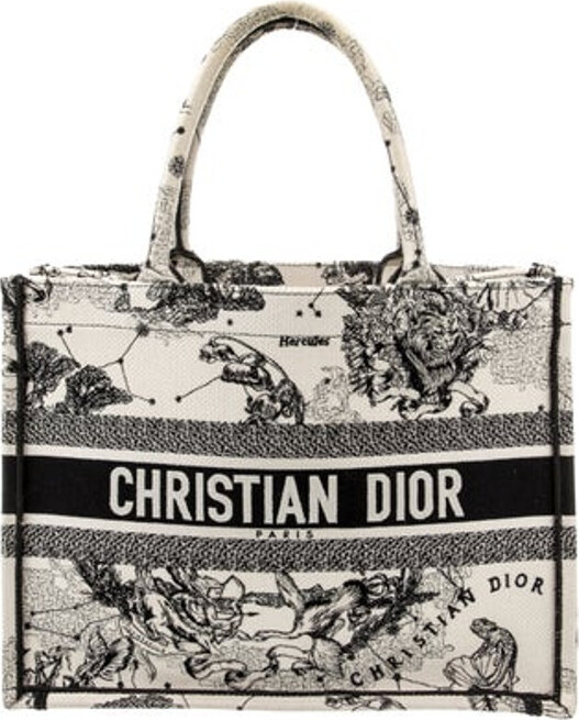 christian-dior-beach-straw-bags-shopstyle