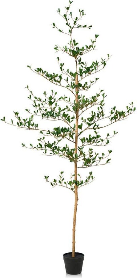 DR.Planzen 6 ft.Artificial black Olive Tree-Faux Plants Indoor/Outdoor,Fake Tree Home Office Decor With Real Wood Trunk Living Room