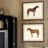 Thumbnail for your product : Ballard Designs Horse Giclee Print