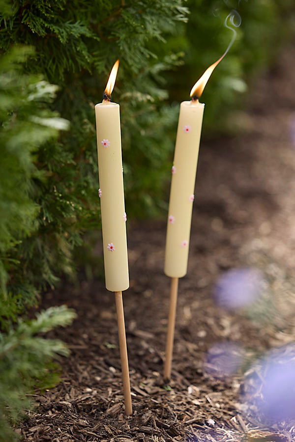 Daisy Citronella Torch Candle
