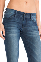 Thumbnail for your product : Black Orchid Jegging