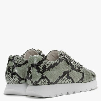 Kennel + Schmenger Rise Green Leather Reptile Cleated Sole Trainers
