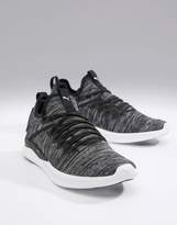 Thumbnail for your product : Puma Training Ignite flash evoknit sneakers in black 190508-02