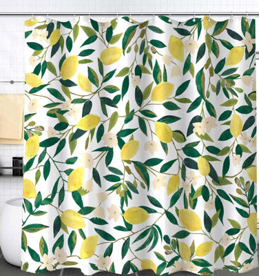 Bayou Breeze The Shower Curtain, with 12 Hooks, 72×72 inch