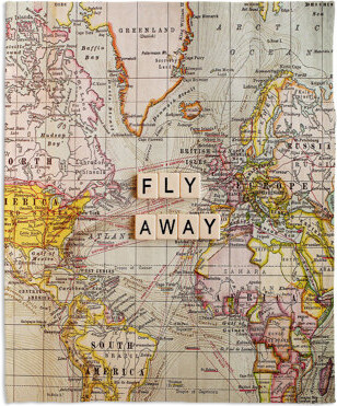 DiaNoche Designs Fly Away Throw