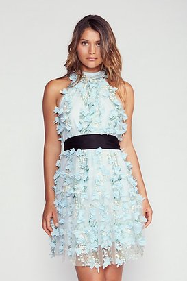 Backstage Ruffle Up Mini Dress by at Free People