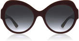Dolce and Gabbana DG4320 Sunglasses Bordeaux / Leo 31568G 56mm