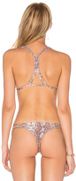Thumbnail for your product : Acacia Swimwear Thailand Top