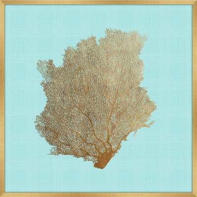 Melissa Van Hise 'Sea Fan IV' Framed Graphic Art Print