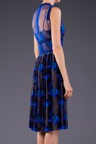 Thumbnail for your product : Christopher Kane Velvet Sheer Dress